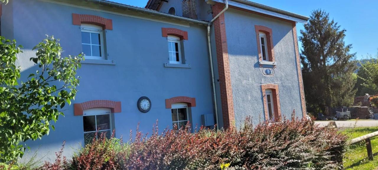 La Halte 19 Villa Ban-sur-Meurthe-Clefcy Dış mekan fotoğraf